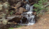 photo thumbnail #7