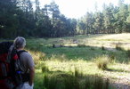 photo thumbnail #13