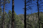 photo thumbnail #3