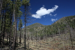 photo thumbnail #7