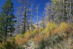 photo thumbnail #12