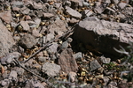 photo thumbnail #14