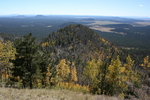 photo thumbnail #15