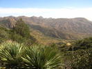photo thumbnail #4