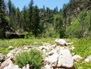 photo thumbnail #6