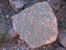 photo thumbnail #9