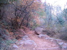 photo thumbnail #13