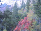 photo thumbnail #15
