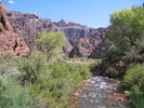 photo thumbnail #14