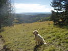 photo thumbnail #6