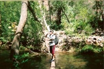 photo thumbnail #14