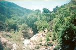 photo thumbnail #15