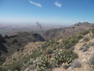 photo thumbnail #14