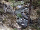 recent photo