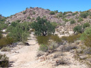 photo thumbnail #6