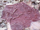 photo thumbnail #10