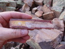 photo thumbnail #11