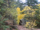 photo thumbnail #3