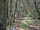 photo thumbnail #1