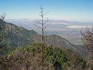 photo thumbnail #5