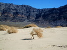 photo thumbnail #12