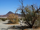 photo thumbnail #13