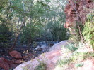 photo thumbnail #1