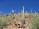 photo thumbnail #4