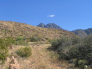 photo thumbnail #6