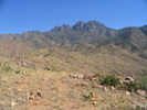 photo thumbnail #7