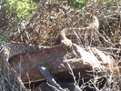 photo thumbnail #13
