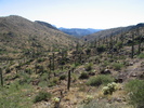 photo thumbnail #15