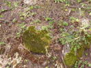 photo thumbnail #13