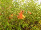 photo thumbnail #9