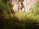 photo thumbnail #10