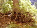 photo thumbnail #15