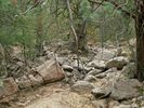 photo thumbnail #5
