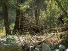 photo thumbnail #9
