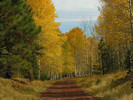 photo thumbnail #7