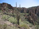 photo thumbnail #9