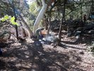 photo thumbnail #13