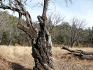 photo thumbnail #13