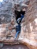 photo thumbnail #8