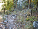 photo thumbnail #9