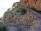 photo thumbnail #3