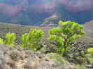 photo thumbnail #5