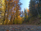 photo thumbnail #4