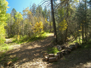 photo thumbnail #6