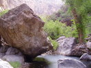 photo thumbnail #12