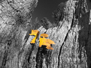 photo thumbnail #4